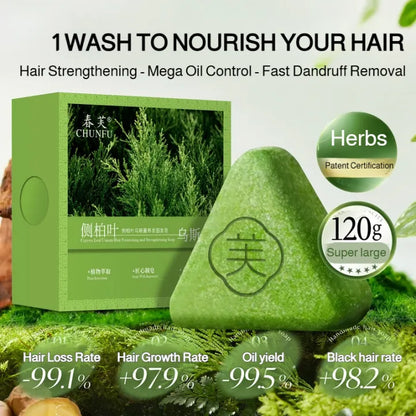 Platycladus Orientalis Usman Shampoo Soap ( BUY 1 GET 1 FREE )