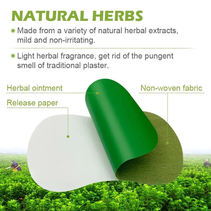 KanyeHB™ Foot Detox Pads  ( BUY 1 GET 1 FREE )