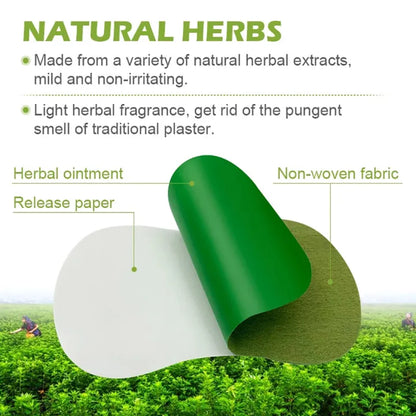 KanyeHB™ Foot Detox Pads  ( BUY 1 GET 1 FREE )