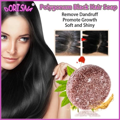 DORISNA Polygonum Essence Hair Shampoo Soap ( BUY 1 GET 1 FREE )