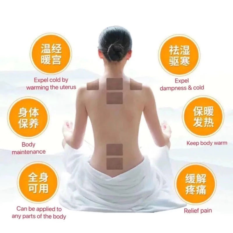 Herbal Ginger Neck Back Body Pain Patch ( BUY 1 GET 1 FREE )