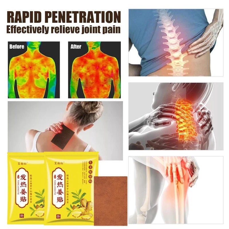 Herbal Ginger Neck Back Body Pain Patch ( BUY 1 GET 1 FREE )