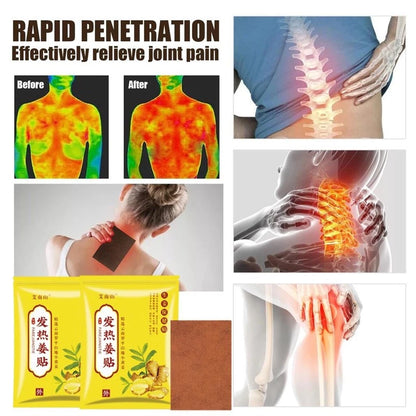 Herbal Ginger Neck Back Body Pain Patch ( BUY 1 GET 1 FREE )