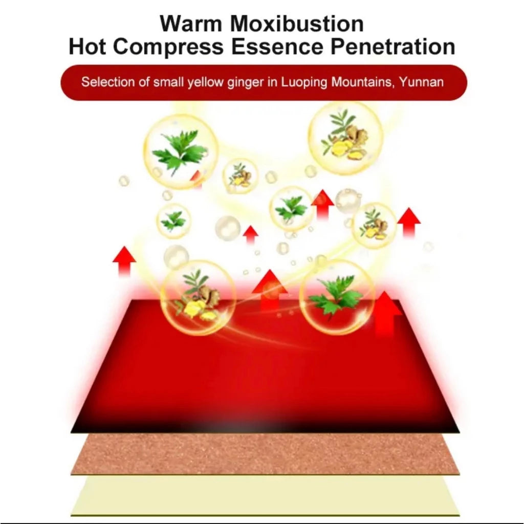 Herbal Ginger Neck Back Body Pain Patch ( BUY 1 GET 1 FREE )